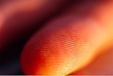 发售两天 《塞尔达传说：王国之泪》登顶英国首发最畅销实体游戏榜